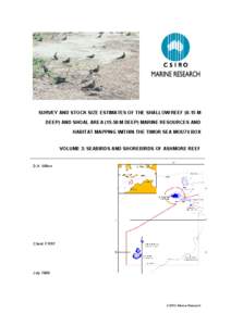 SURVEY AND STOCK SIZE ESTIMATES OF THE SHALLOW REEF[removed]M DEEP) AND SHOAL AREA[removed]M DEEP) MARINE RESOURCES AND HABITAT MAPPING WITHIN THE TIMOR SEA MOU74 BOX