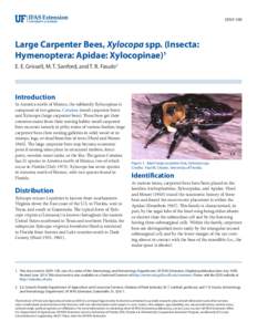 EENY-100  Large Carpenter Bees, Xylocopa spp. (Insecta: Hymenoptera: Apidae: Xylocopinae)1 E. E. Grissell, M. T. Sanford, and T. R. Fasulo2