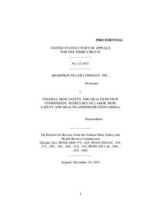 PRECEDENTIAL UNITED STATES COURT OF APPEALS FOR THE THIRD CIRCUIT _____________ No[removed]_____________