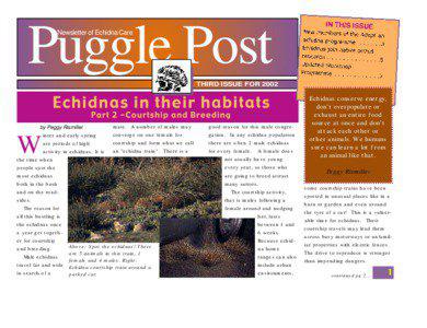 Puggle Post Newsletter of Echidna Care