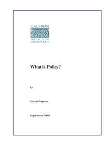 What is Policy?  by Sherri Torjman