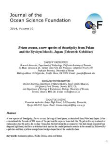 Citharichthys darwini n. sp., a new endemic flatfish from the Galápagos Archipelago (Teleostei: Pleuronectiformes: Paralichthyidae)