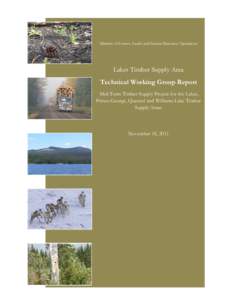 Ministry of Forests, Lands and Natural Resource Operations  Lakes Timber Supply Area Technical Working Group Report Mid-Term Timber Supply Project for the Lakes, Prince George, Quesnel and Williams Lake Timber