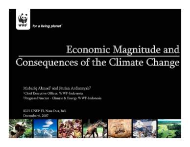 Economic Magnitude and Consequences of the Climate Change Mubariq Ahmad1 and Fitrian Ardiansyah2 1Chief  Executive Officer, WWF-Indonesia