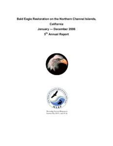 California / Channel Islands National Park / Haliaeetus / Bald Eagle / Santa Cruz Island / Anacapa Island / Sea eagle / San Francisco Zoo / American Eagle Foundation / Channel Islands of California / Eagles / Geography of California