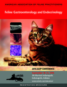 A M E R I C A N A S S O C I AT I O N O F F E L I N E P R A C T I T I O N E R S  Feline Gastroenterology and Endocrinology 2014 AAFP CONFERENCE