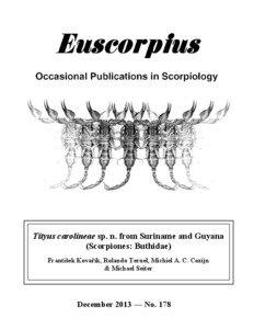 Taxonomy / Buthidae / Tityus / Euscorpius / Pedipalp / Arachnid / Metasoma / Phyla / Protostome / Scorpions
