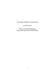 Community Wildfire Protection Plan