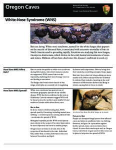 Bats / Population ecology / Speleology / Syndromes / White nose syndrome / Geomyces destructans / Caving / Geomyces / Oregon Caves National Monument / Biology / Mycology / Health