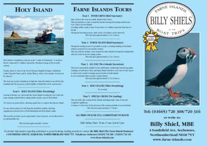 HOLY ISLAND  FARNE ISLANDS TOURS Tour 1 INNER FARNE (Bird Sanctuary) Inner Farne is the most accessible Island of the Farnes. This trip includes a cruise around the Islands viewing the nesting seabirds and