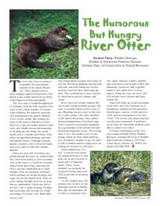 Summer[removed]and young appear to enjoy these times of activity. Wrestling, dunking, playing hide and seek, and mud sliding are favorite activities noted in these interesting animals. The vocalization of otters can best