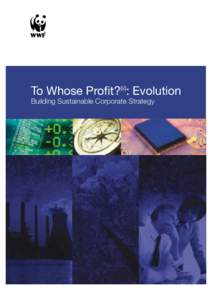 To Whose Profit?(ii): Evolution Building Sustainable Corporate Strategy About the Authors Vicky Kemp is a Director at Equilibria Group Limited. She has 14 years experience in corporate environmental management, project 