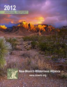 United States / Gila National Forest / Wilderness / Chaco Culture National Historical Park / Primitive Area / National Landscape Conservation System / Bob Marshall / New Mexico / Protected areas of the United States / Geography of the United States