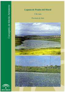 Inventario de Humedales de Andalucía (I.H.A)  Laguna de Prados del Moral