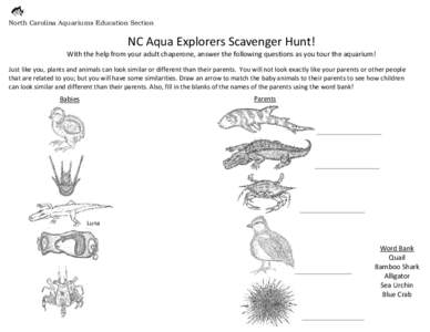 North Carolina Aquariums Education Section  NC Aqua Explorers Scavenger Hunt! With the help from your adult chaperone, answer the following questions as you tour the aquarium! Just like you, plants and animals can look s