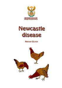 Biology / Influenza A virus subtype H5N1 / Epidemiology / Mononegavirales / Newcastle disease / Poultry farming / Influenza / Chicken / Vaccine / Veterinary medicine / Medicine / Animal virology