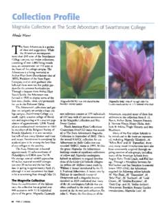 Botany / Arboretum / Magnolia / Flora of North America / Ellerhoop-Thiensen Arboretum / Flora of the United States / Arnold Arboretum / North American Plant Collections Consortium