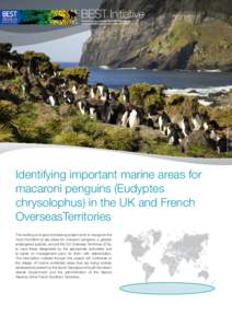 Eudyptes / Ornithology / Birds of Western Australia / Macaroni Penguin / Tundra / Crested penguin / Seabird / Kerguelen Islands / Southern Rockhopper Penguin / Penguins / Flightless birds / Fauna of South America