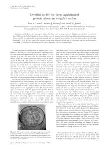 J. Mar. Biol. Ass. U.K[removed]), 81, 881^882 Printed in the United Kingdom Dressing up for the deep: agglutinated protists adorn an irregular urchin Lisa A. Levin*P, Andrew J. GoodayO and David W. James*