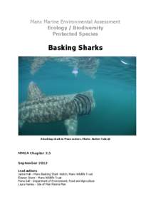 Manx Marine Environmental Assessment Ecology / Biodiversity Protected Species Basking Sharks