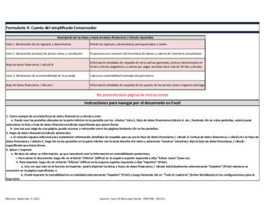 Formulario 9: Cuenta del simplificado Conservador Descripción de las listas y hojas de datos financieros / cálculo requeridas Lista 1: Declaración de los ingresos y desembolsos Brinda los ingresos y desembolsos presup