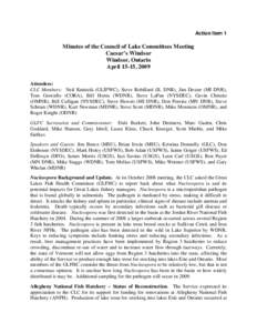 Action Item 1  Minutes of the Council of Lake Committees Meeting Caesar’s Windsor Windsor, Ontario April 15-15, 2009