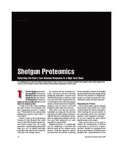STEPHEN AUSMUS (D1189-2)  Shotgun Proteomics In a milking parlor at the ARS National Animal Disease Center in Ames, Iowa, molecular biologist John Lippolis collects milk samples from a Jersey cow in an effort to answer b