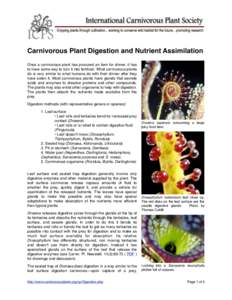 Carnivorous Plant Digestion and Nutrient Assimilation!  ©International Carnivorous Plant Society Carnivorous Plant Digestion and Nutrient Assimilation Once a carnivorous plant has procured an item for dinner, it has