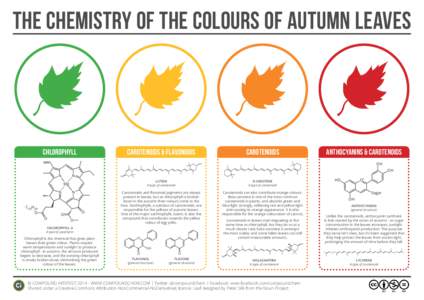 THE CHEMISTRY OF THE COLOURs OF AUTUMN LEAVES  CHLOROPHYLL CAROTENOIDS & FLAVoNOIDS