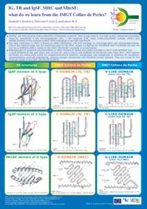 IG, TR and IgSF, MHC and MhcSF:  Im what do we learn from the IMGT Collier de Perles? Muno Gene Giudicelli V., Brochet X., Ehrenman F., Kaas Q. and Lefranc M.-P.
