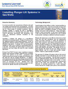 Energy / Plunger lift / Artificial lift / Pump / Gas lift / Natural gas / Elevator / Casing / Soft matter / Petroleum production / Oil wells / Technology