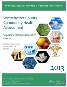 Working Together Towards a Healthier Westchester  Westchester County Community Health Assessment Supplemental Data Report IV: