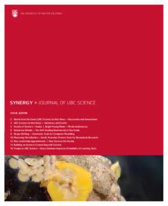 THE UNIVERSITY OF BRITISH COLUMBIA  SYNERGY » JOURNAL OF UBC SCIENCE ISSUE 2|2008 2	 Words from the Dean | UBC Science (in the) News – Discoveries and Innovations 4	 UBC Science (in the) News – Initiatives a