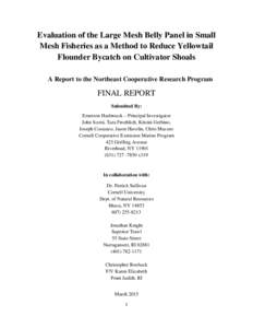 Evaluation of the Large Mesh Belly Panel in Small Mesh Fisheries as a Method to Reduce Yellowtail Flounder Bycatch on Cultivator Shoals A Report to the Northeast Cooperative Research Program  FINAL REPORT