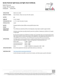 Syrian Hamster IgG-heavy and light chain Antibody Rabbit Polyclonal Antigen Affinity Purified Catalog No. A140-124A