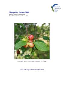 Shropshire Botany 2009 Report of the BSBI County Recorder Sarah Whild & Alex Lockton, MarchCherry Plum, Prunus cerasifera, had a good fruiting year in 2009 --