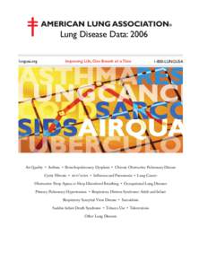 Air pollution / Chronic lower respiratory diseases / Smoking / Occupational diseases / Respiratory therapy / Respiratory disease / Chronic obstructive pulmonary disease / Emphysema / Lower respiratory tract / Medicine / Health / Anatomy