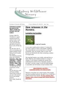 Newsletter #16 December 2009 Edition  Christmas is around the corner & the ‘HOT’ weather has arrived….are you