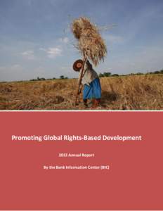 Promoting Global Rights-Based Development 2013 Annual Report By the Bank Information Center (BIC) 1