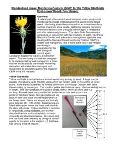 Standardized Impact Monitoring Protocol (SIMP) for the Yellow Starthistle Root-crown Weevil (Pre-release): Overview: A critical part of successful weed biological control programs is monitoring the impact of biological c