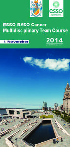 ESSO-BASO Cancer Multidisciplinary Team Course 1 November 2014