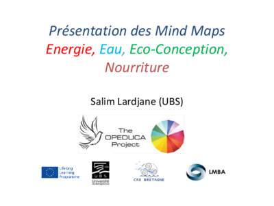 Présentation des Mind Maps Energie, Eau, Eco-Conception, Nourriture Salim Lardjane (UBS)  Qu’est-ce qu’une mind map ?