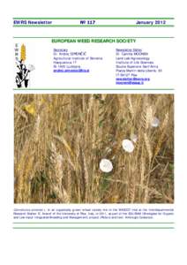 EWRS Newsletter  № 117 January 2012