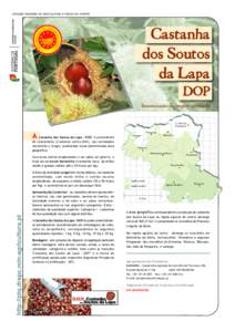 DIREÇÃO REGIONAL DE AGRICULTURA E PESCAS DO CENTRO  S. João da Pesqueira  A Castanha dos Soutos da Lapa - DOP, é proveniente