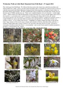 Pomaderris / Pterostylis / Acacia genistifolia / Lomandra / Cryptandra / Dillwynia / Grevillea / Acacia buxifolia / Eudicots / Rosids / Flora of New South Wales