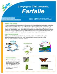 Compagnia TPO presents,  Farfalle