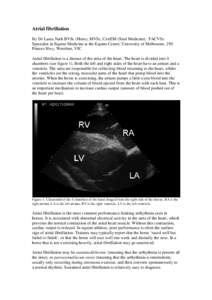 Atrial fibrillation By Dr Laura Nath BVSc (Hons), MVSc, CertEM (Stud Medicine), FACVSc Specialist in Equine Medicine at the Equine Centre, University of Melbourne, 250 Princes Hwy, Werribee, VIC Atrial fibrillation is a 