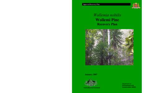 Conservation in Australia / Environmental law / Flora of New South Wales / Living fossils / Trees of Australia / Wollemia / Wollemi National Park / Environment Protection and Biodiversity Conservation Act / Mount Annan Botanic Garden / Environment / Conservation / Earth