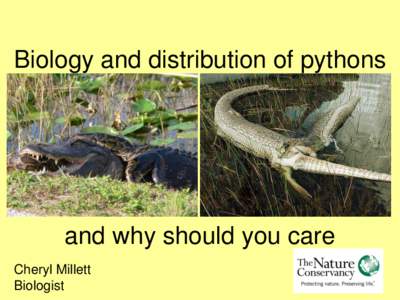 Biology and distribution of pythons  and why should you care Cheryl Millett Biologist