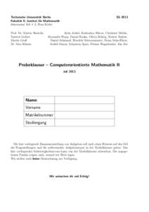 Technische Universität Berlin Fakultät II, Institut für Mathematik Sekretariat MA 5–2, Frau Kiefer Prof. Dr. Martin Skutella Torsten Gellert Martin Groß